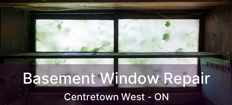 Basement Window Repair Centretown West - ON