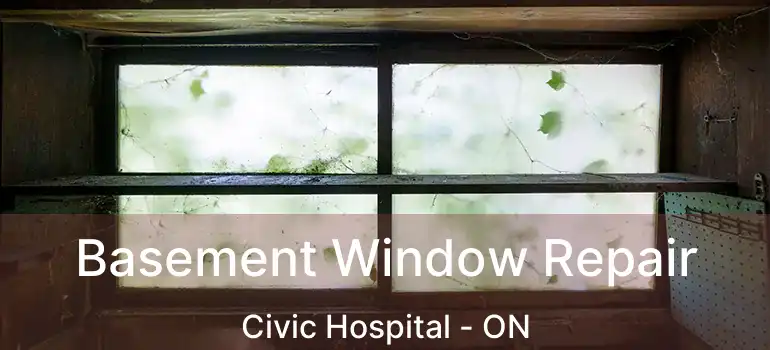 Basement Window Repair Civic Hospital - ON