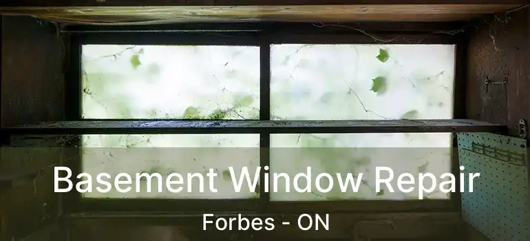 Basement Window Repair Forbes - ON