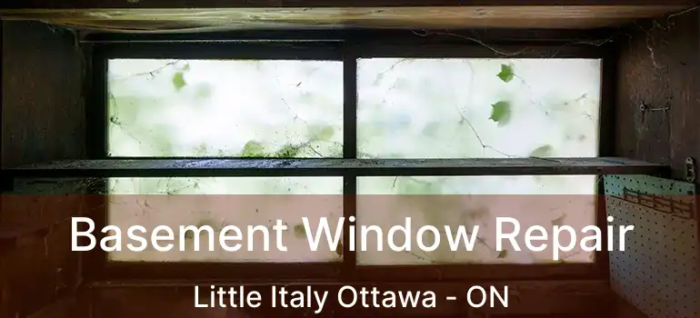 Basement Window Repair Little Italy Ottawa - ON