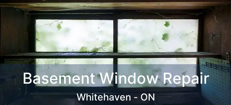 Basement Window Repair Whitehaven - ON