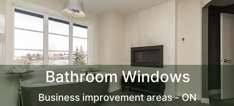 Bathroom Windows Business improvement areas - ON