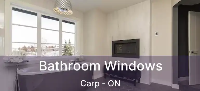  Bathroom Windows Carp - ON