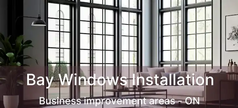 Bay Windows Installation Business improvement areas - ON