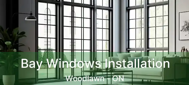 Bay Windows Installation Woodlawn - ON