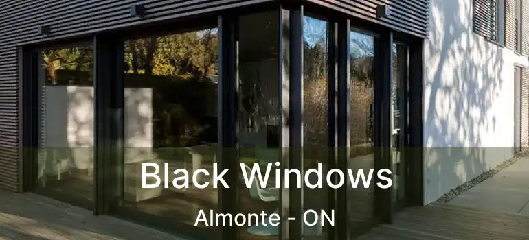 Black Windows Almonte - ON