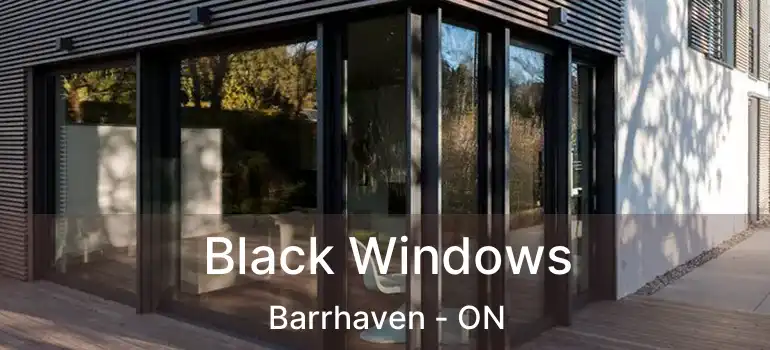 Black Windows Barrhaven - ON