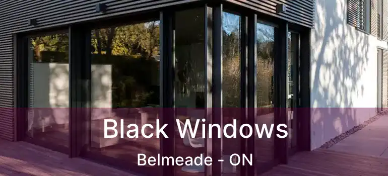  Black Windows Belmeade - ON