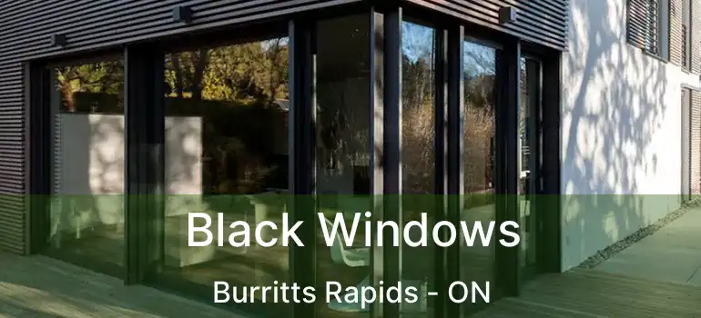 Black Windows Burritts Rapids - ON