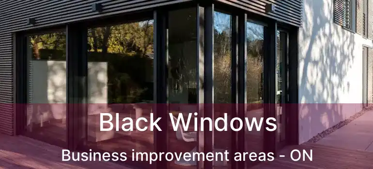Black Windows Business improvement areas - ON