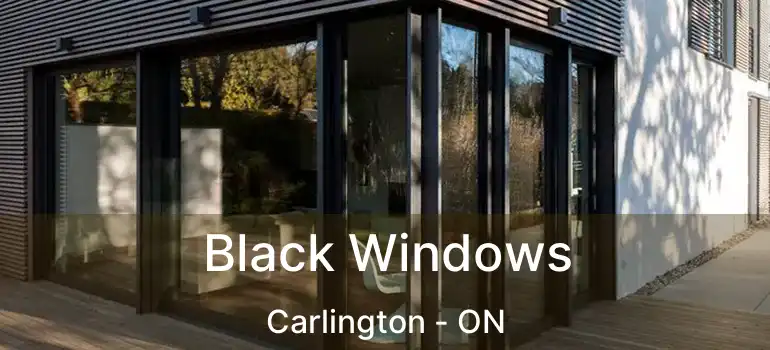 Black Windows Carlington - ON