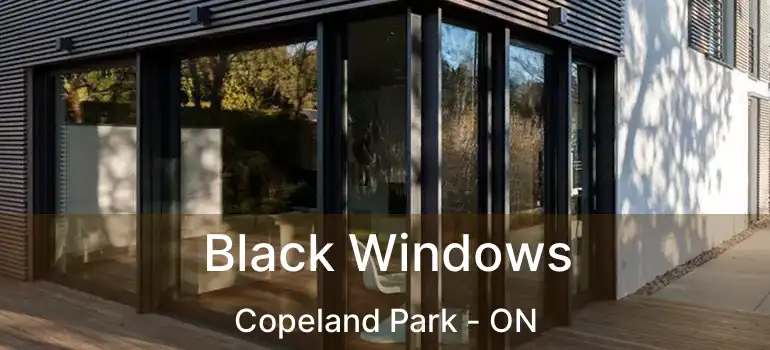 Black Windows Copeland Park - ON