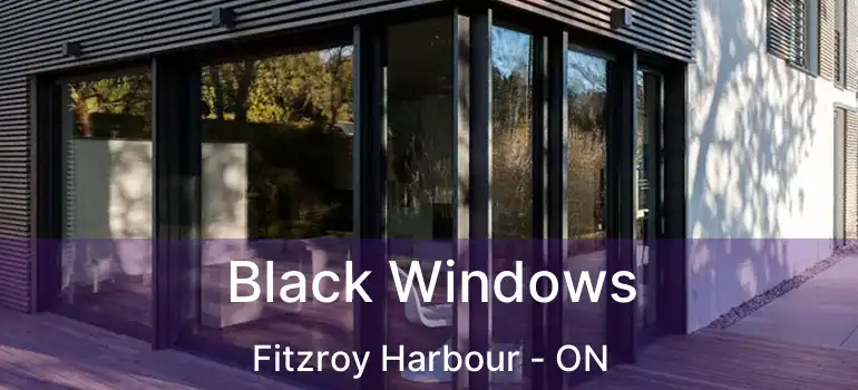 Black Windows Fitzroy Harbour - ON