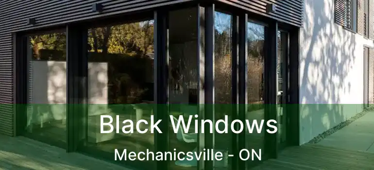 Black Windows Mechanicsville - ON