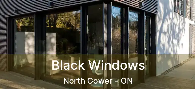 Black Windows North Gower - ON
