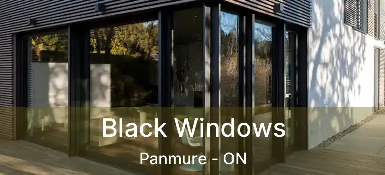 Black Windows Panmure - ON