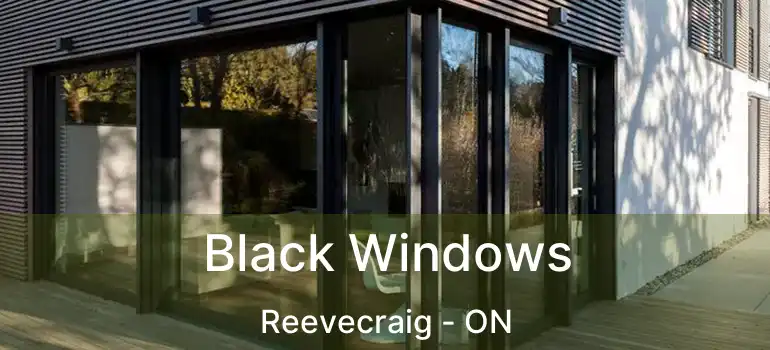 Black Windows Reevecraig - ON