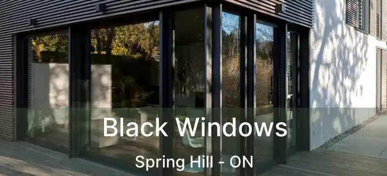 Black Windows Spring Hill - ON