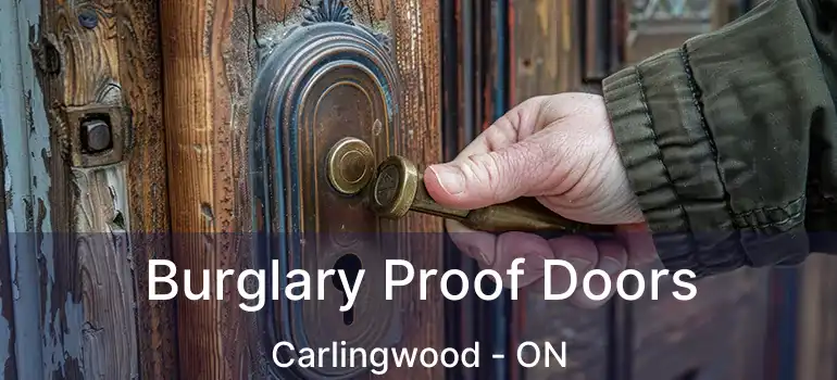  Burglary Proof Doors Carlingwood - ON