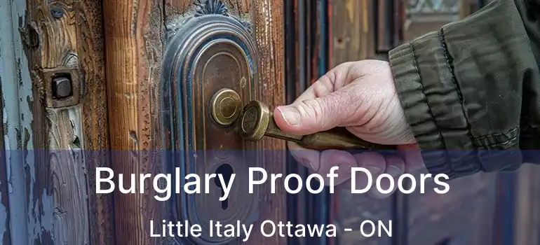  Burglary Proof Doors Little Italy Ottawa - ON