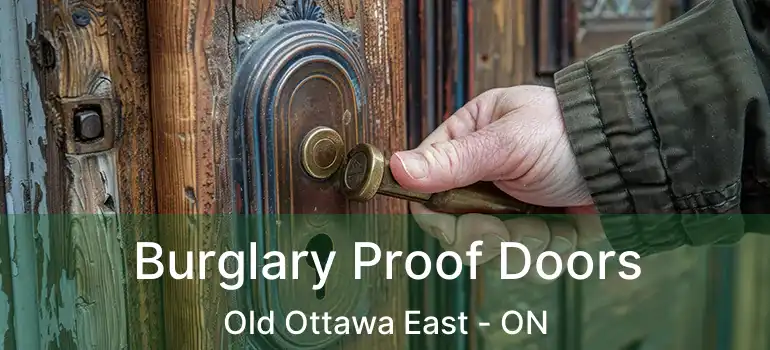  Burglary Proof Doors Old Ottawa East - ON