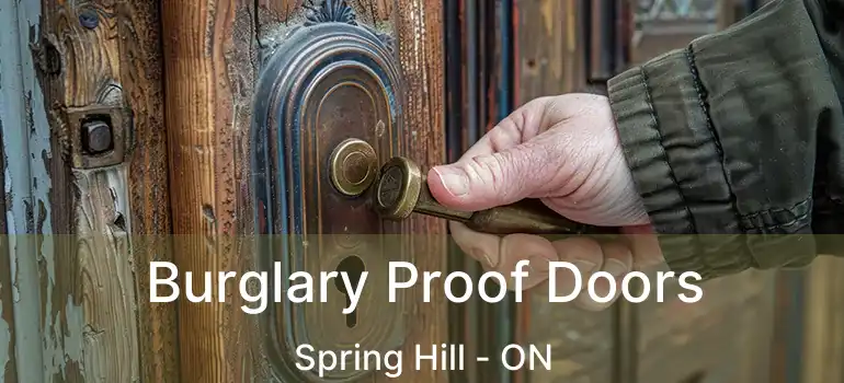  Burglary Proof Doors Spring Hill - ON