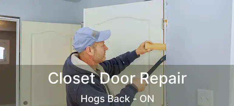 Closet Door Repair Hogs Back - ON
