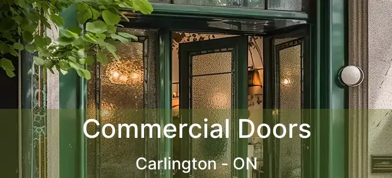  Commercial Doors Carlington - ON