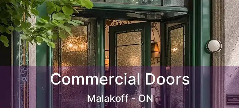 Commercial Doors Malakoff - ON