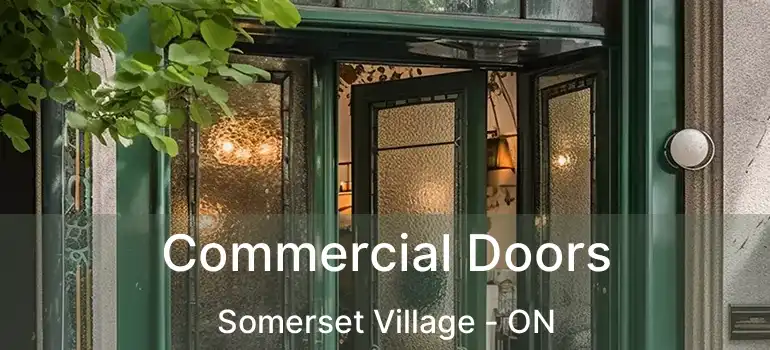 Commercial Doors Somerset Village - ON