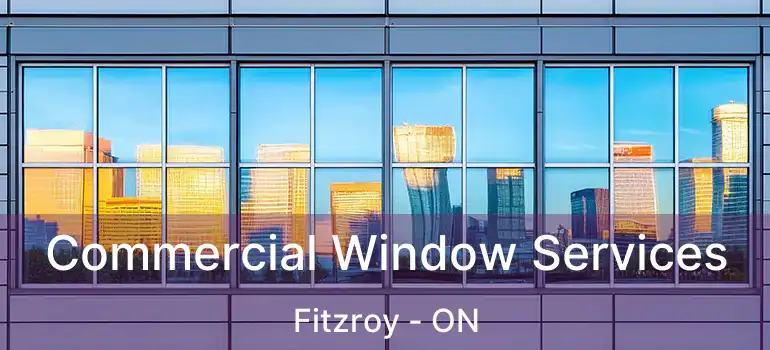 Commercial Window Services Fitzroy - ON