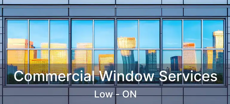 Commercial Window Services Low - ON