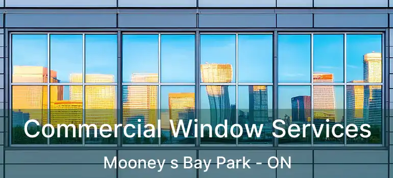Commercial Window Services Mooney s Bay Park - ON