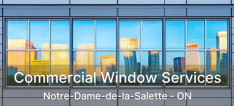 Commercial Window Services Notre-Dame-de-la-Salette - ON