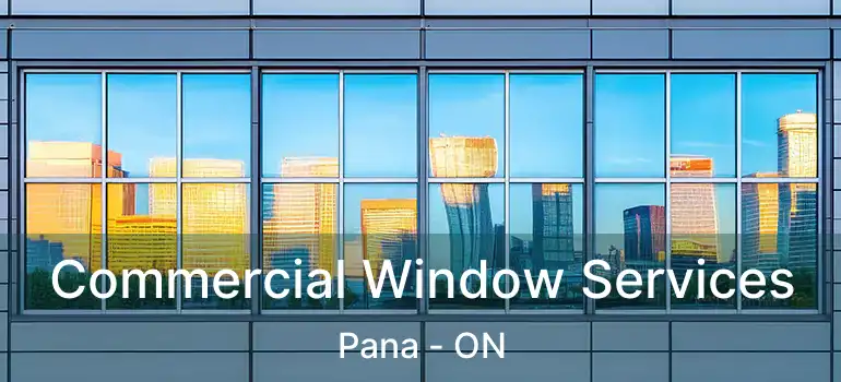Commercial Window Services Pana - ON