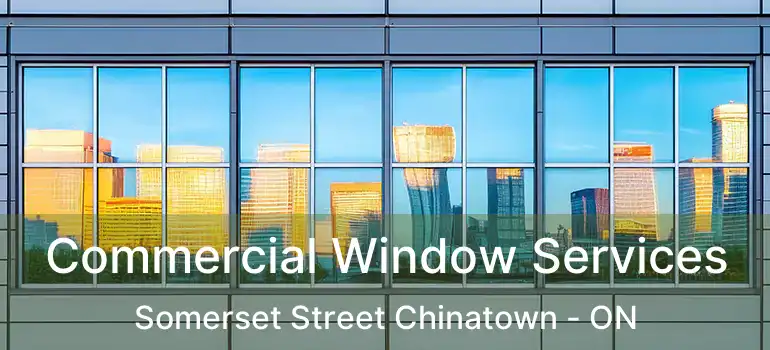 Commercial Window Services Somerset Street Chinatown - ON