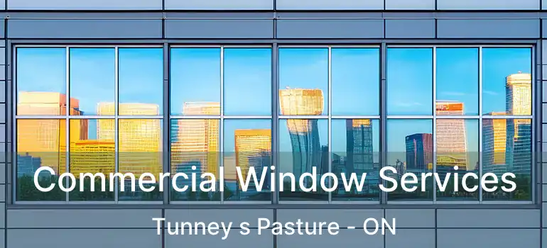 Commercial Window Services Tunney s Pasture - ON