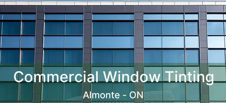  Commercial Window Tinting Almonte - ON