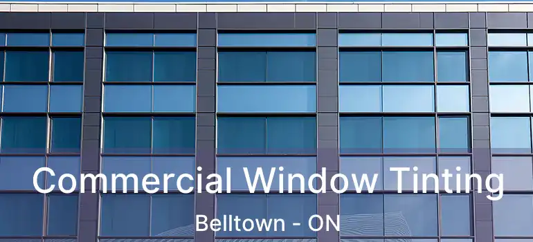  Commercial Window Tinting Belltown - ON