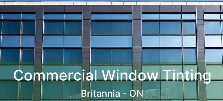  Commercial Window Tinting Britannia - ON
