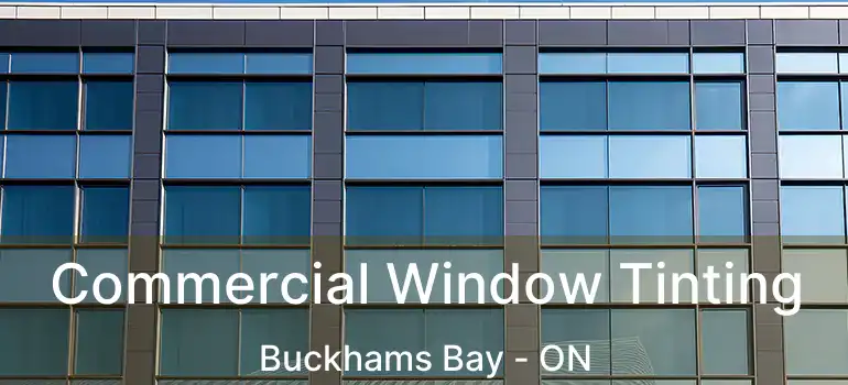  Commercial Window Tinting Buckhams Bay - ON