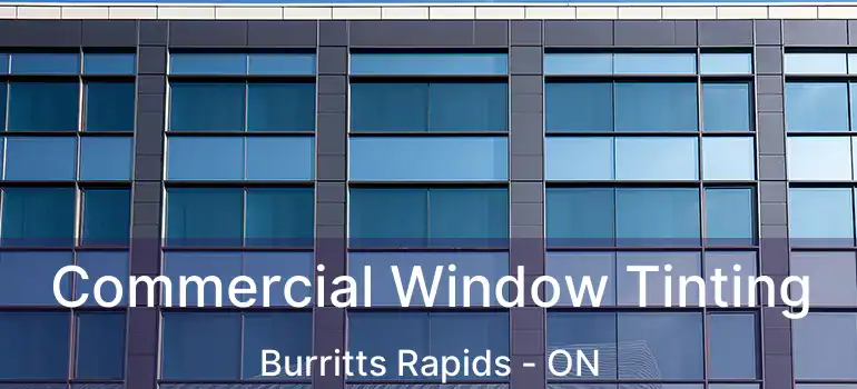  Commercial Window Tinting Burritts Rapids - ON