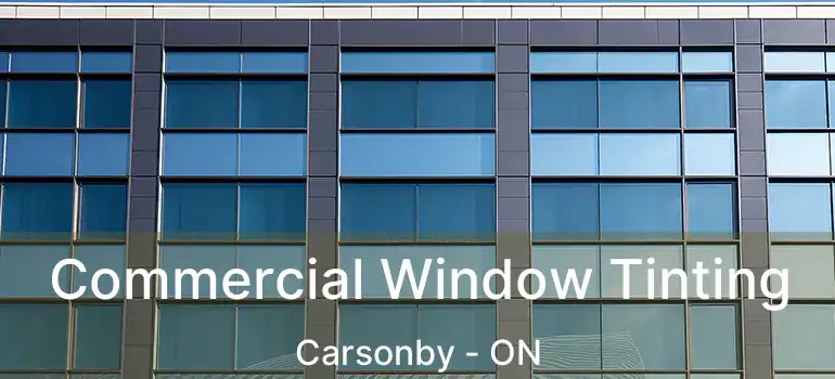  Commercial Window Tinting Carsonby - ON