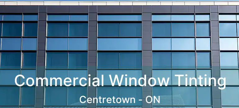  Commercial Window Tinting Centretown - ON
