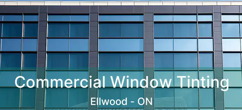 Commercial Window Tinting Ellwood - ON