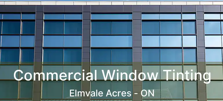  Commercial Window Tinting Elmvale Acres - ON