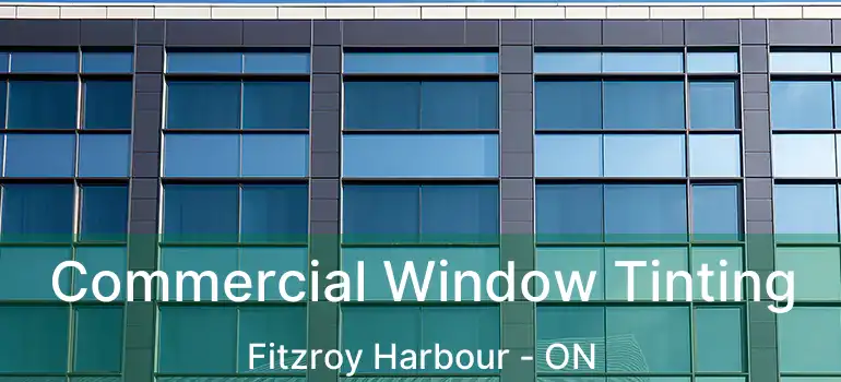 Commercial Window Tinting Fitzroy Harbour - ON