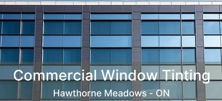  Commercial Window Tinting Hawthorne Meadows - ON