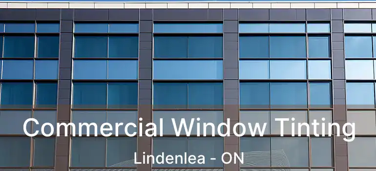  Commercial Window Tinting Lindenlea - ON