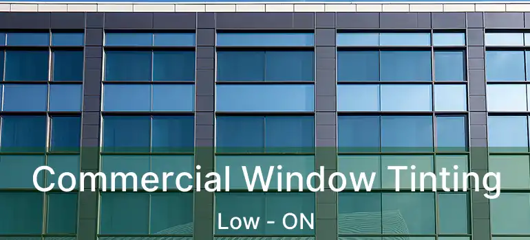  Commercial Window Tinting Low - ON